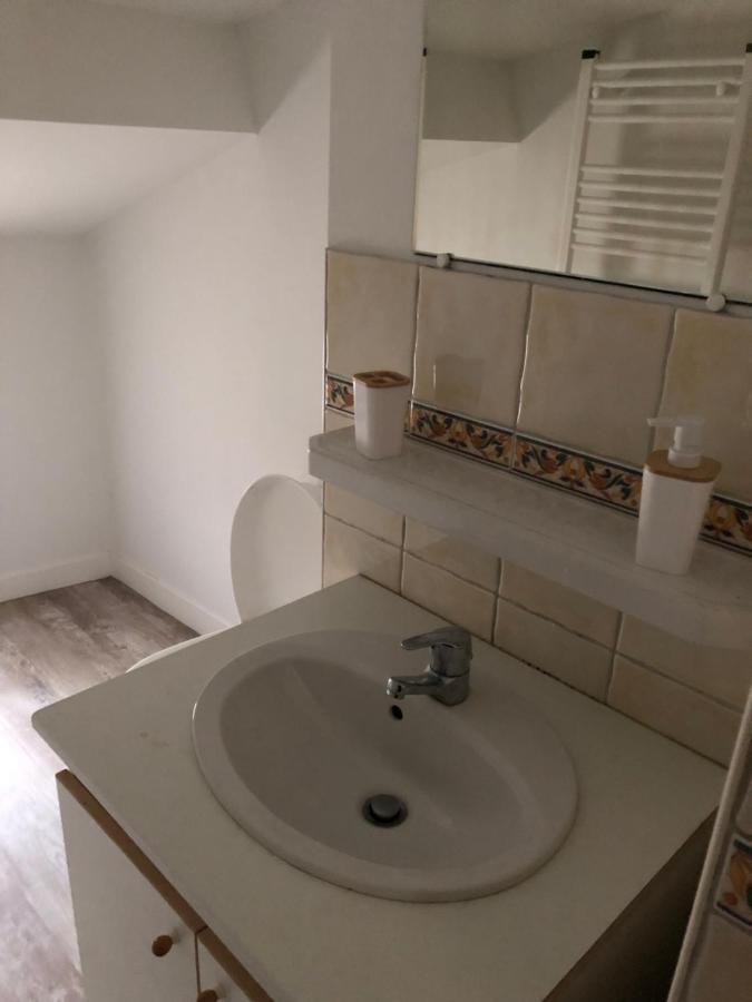 Appartement Cosy Et Lumineux Caussens エクステリア 写真