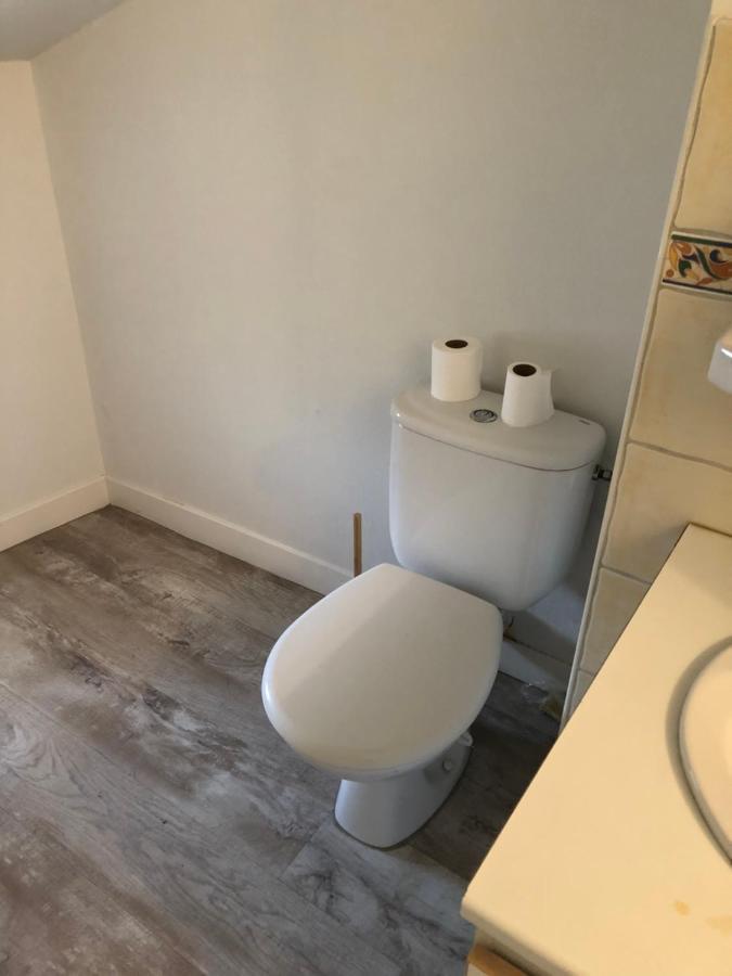 Appartement Cosy Et Lumineux Caussens エクステリア 写真